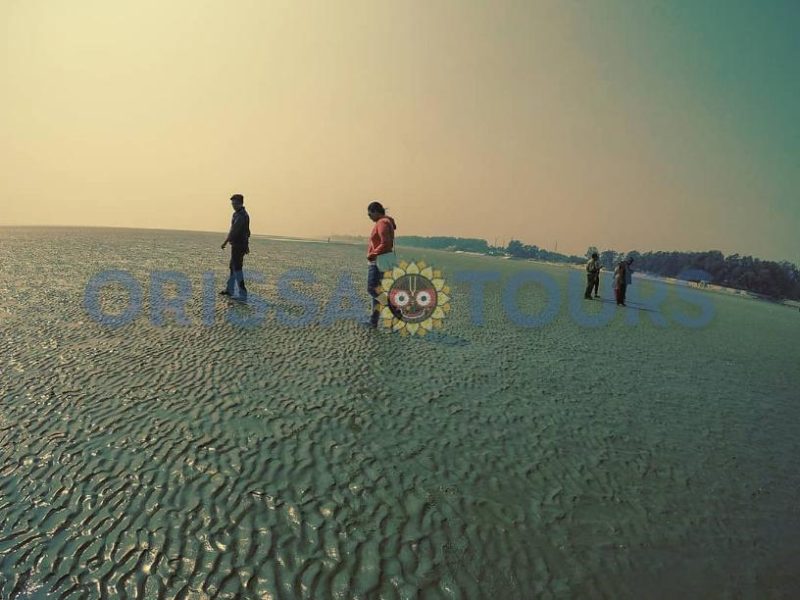 Chandipur Sea Beach
