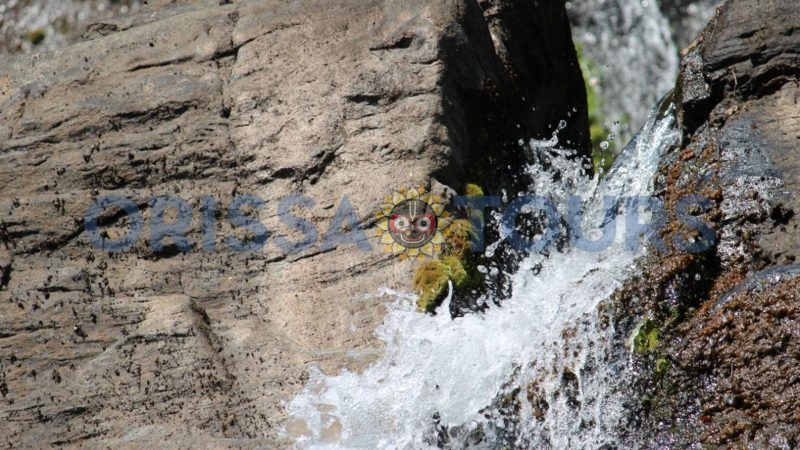 Dabarkhola Waterfall, Badamba, Cuttack, Odisha