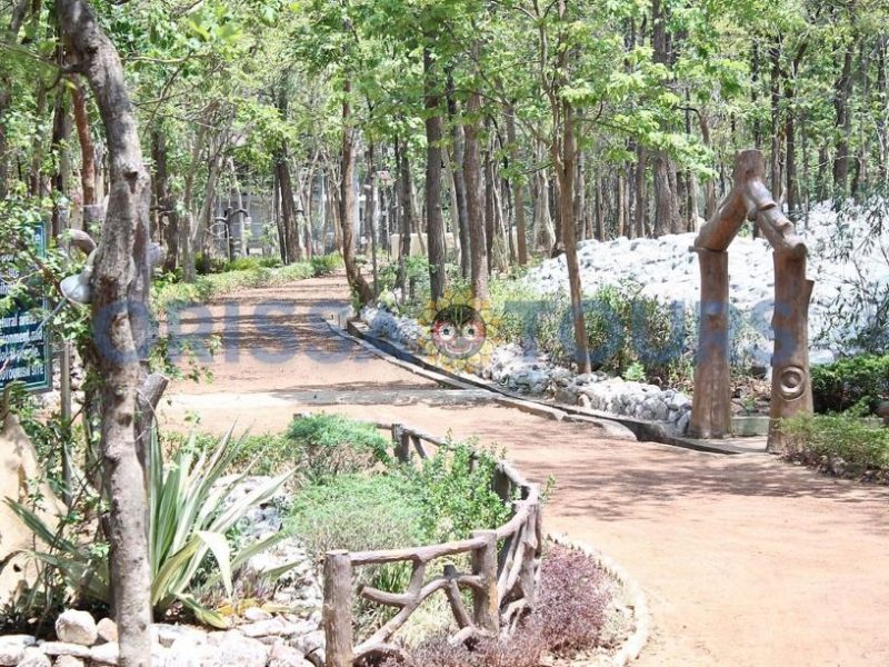 Debrigarh Wildlife Sanctuary