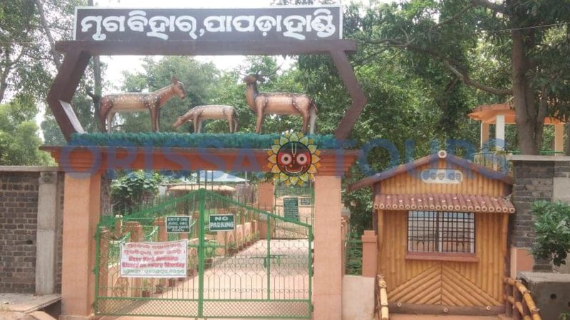Deer Park, Papadahandi, Nabarangpur, Odisha