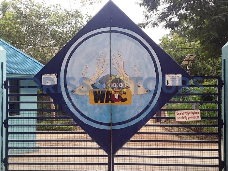 Deer & Zoological Park