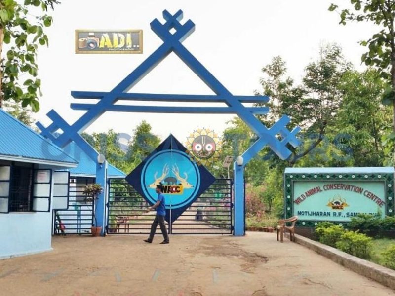 Deer & Zoological Park