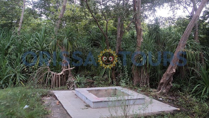 Deulajhari Celestial Hot Spring, Angul, Odisha