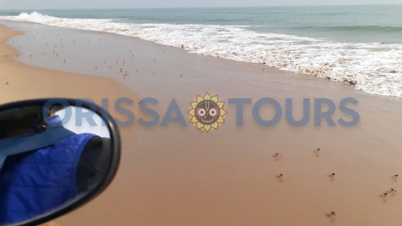 Ekakula Sea Beach, Ekkakula Island, Kendrapara, Odisha