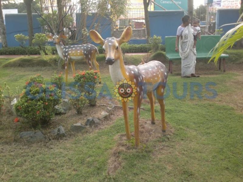 Fakir Mohan Park Gopabandhu