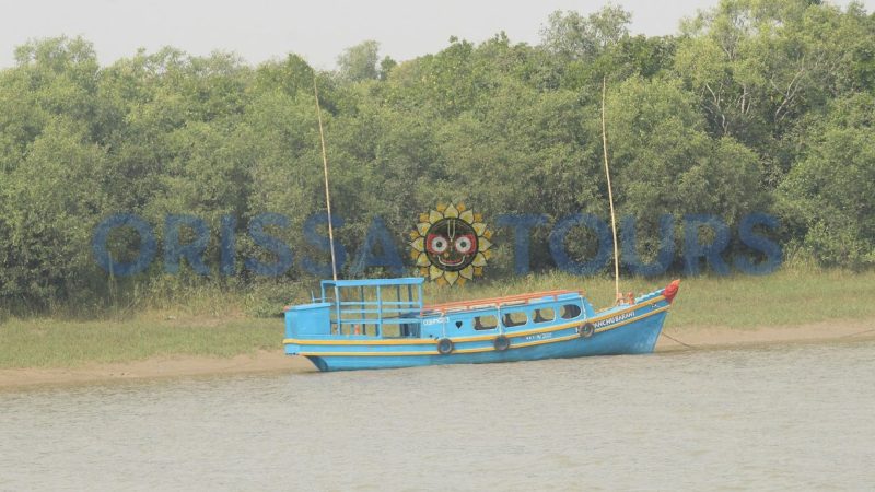 Habalikhati Nature Camp, Sea Beach, kendrapara, Odisha