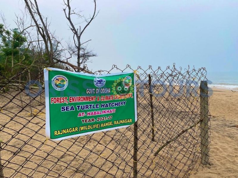 Habalikhati Sea Beach, Nature Camp, Kendrapara, Odisha