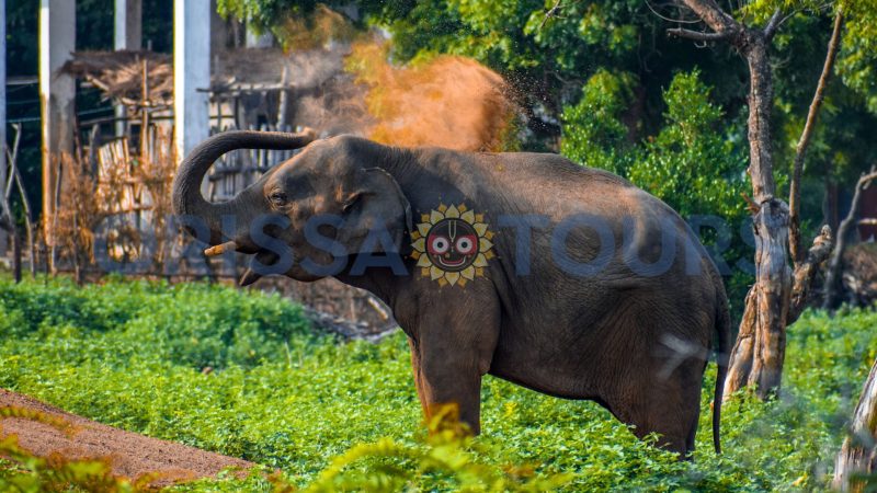 Hadagarh Wildlife Sanctuary, Keonjhar, Odisha