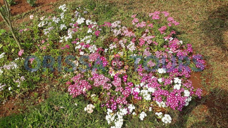 Jaydev Vatika Park, Bhubaneswar, Odisha