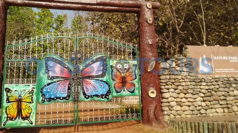 Kandhamal Butterfly Park, Daringbadi, Kandhamal, Odisha