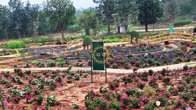 Kandhamal Butterfly Park, Daringbadi, Kandhamal, Odisha