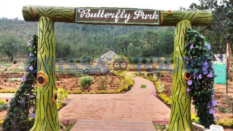 Kandhamal Butterfly Park, Daringbadi, Kandhamal, Odisha