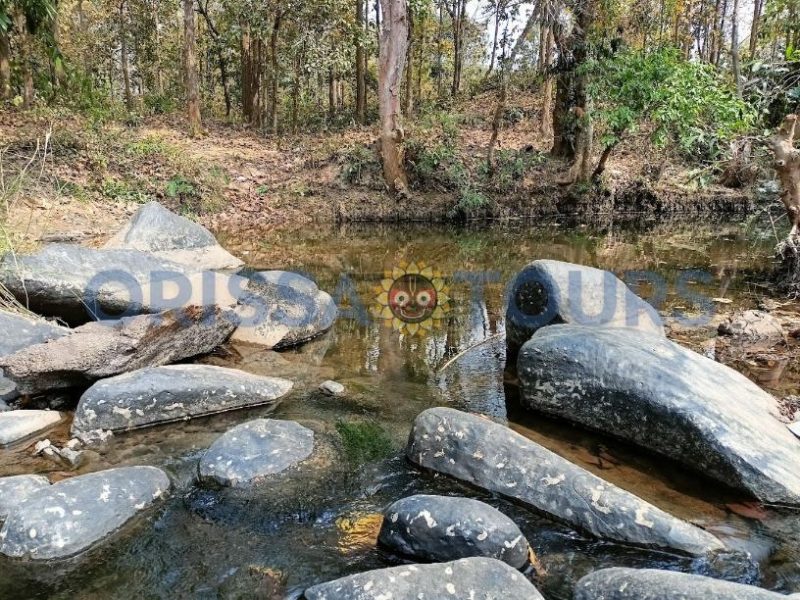 Kapadgadi Waterfall (କପଡଗଡି ଜଳପ୍ରପାତ)