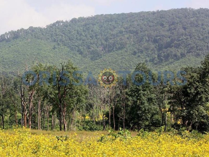 Kotgarh Wildlife Sanctuary