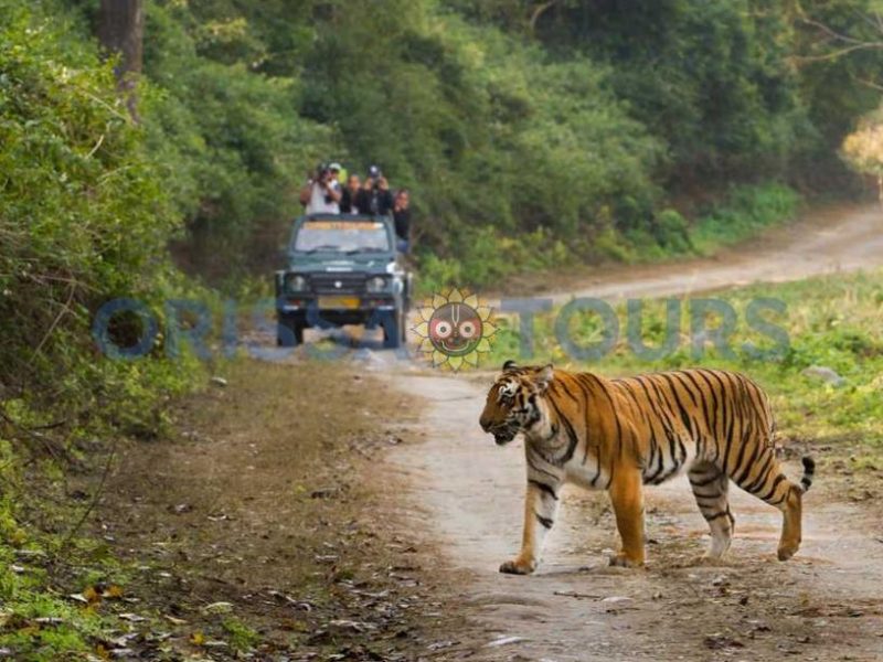 Kotgarh Wildlife Sanctuary