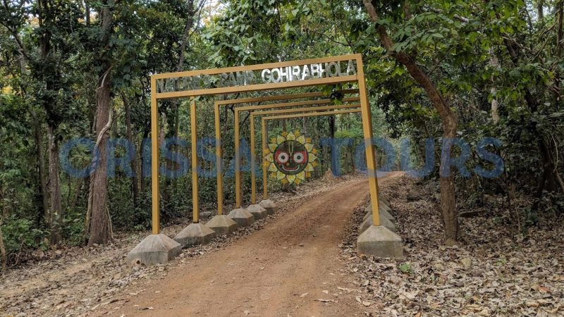 Kuldiha Wildlife Sanctuary, Balasore, Odisha