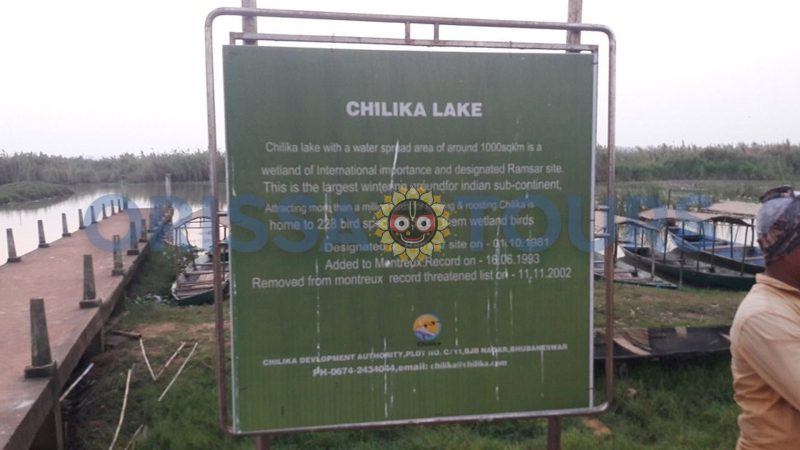Mangalajodi Bird Sanctuary, Chilika Lake, Khordha, Odisha