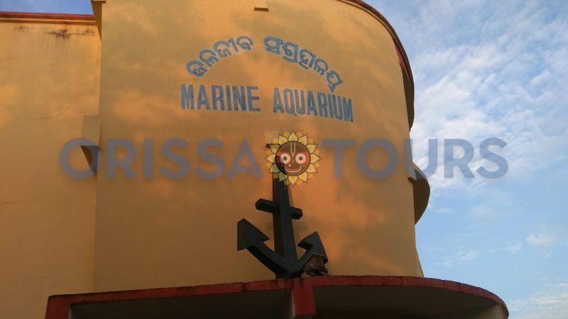 Marine Aquarium, Paradeep Beach, Jagatsinghpur, Odisha