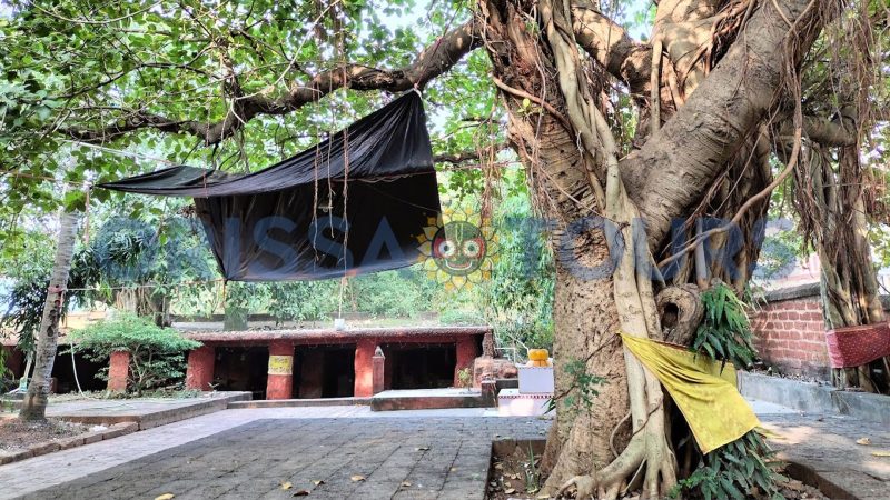 Famous Panchu Pandav Caves, Bhubaneswar, Odisha