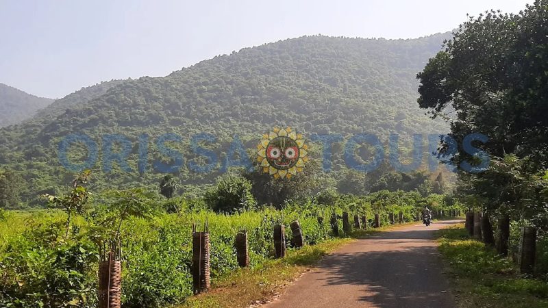 Panikhia Waterfall, Nayagarh, Odisha