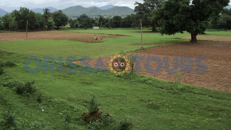Pataleshwar Shiva Temple, Paikapada, Rayagada, Odisha