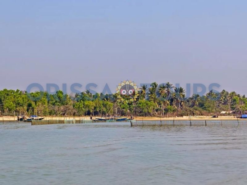 Rajhans Nature Camp Island