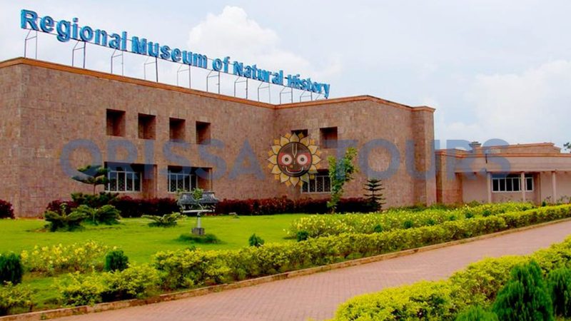 Regional Museum of Natural History, Bhubaneswar, Odisha
