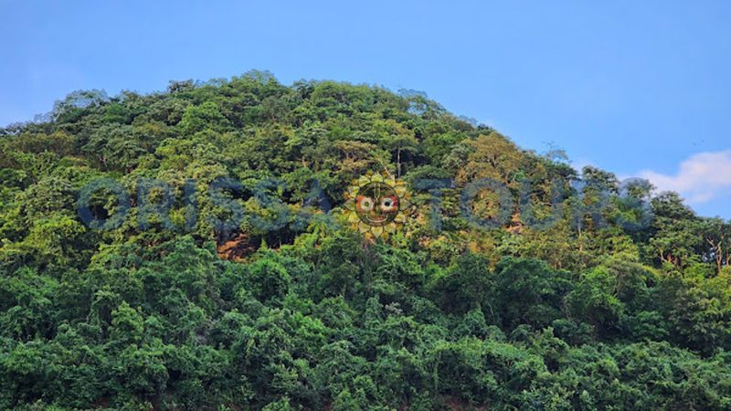 Sarisua waterfall, Kupari, Balasore, Odisha