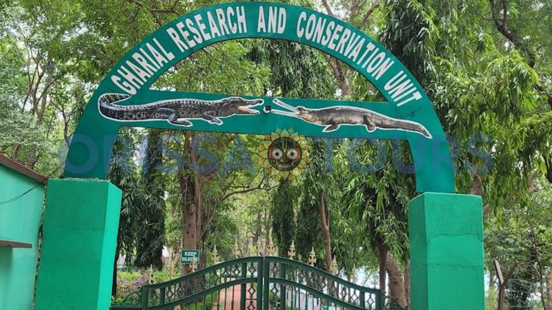 Satkosia Nature Camp, Tikarpada, Bhubaneswar, Odisha