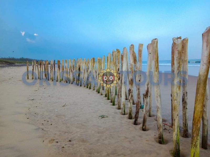 Siali Sea Beach Jagatsinghpur, Odisha