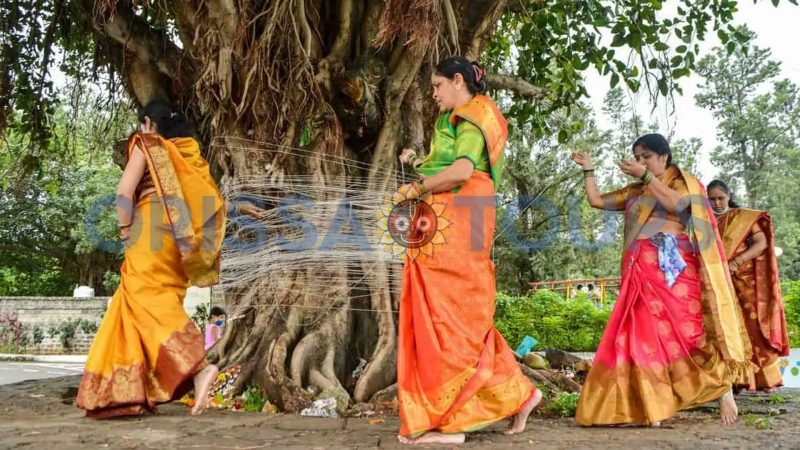 Vat Savitri Amavasya Puja (Vat Purnima) 2025