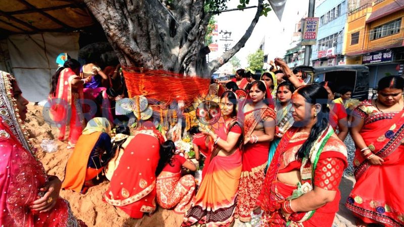 Vat Savitri Amavasya Puja (Vat Purnima) 2025